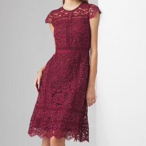 Lace Dress